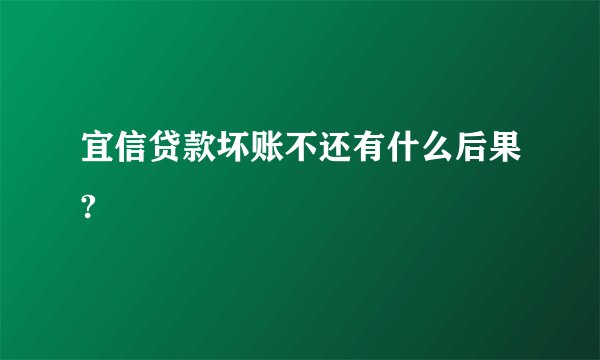 宜信贷款坏账不还有什么后果?