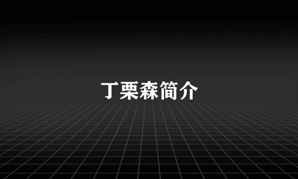 丁栗森简介