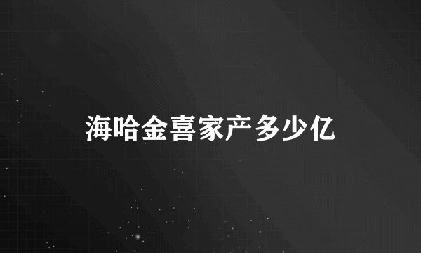 海哈金喜家产多少亿