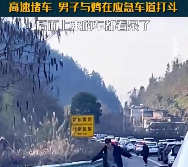 男子和公鸡在高速路上打斗 网友：年货打人了