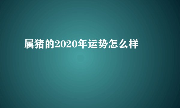 属猪的2020年运势怎么样