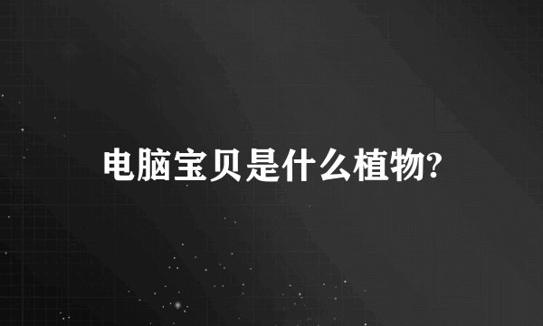 电脑宝贝是什么植物?