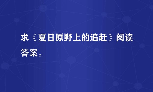 求《夏日原野上的追赶》阅读答案。