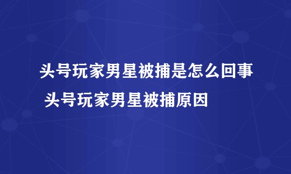 头号玩家男星被捕是怎么回事 头号玩家男星被捕原因