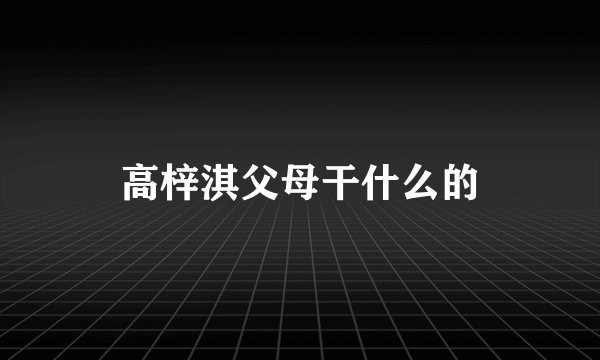 高梓淇父母干什么的