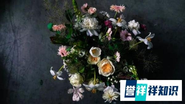有一种花艺叫中赫时尚！时尚、商业、艺术全包括