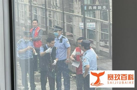 兰州开往成都的动车撞人?成都铁路局回应:确有此事,将通报详情