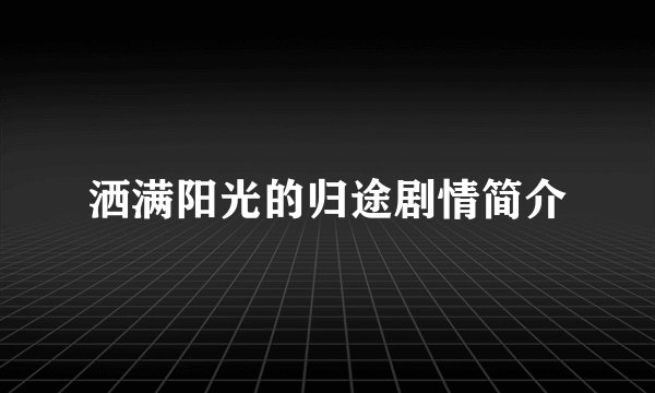 洒满阳光的归途剧情简介
