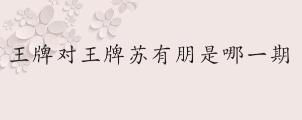王牌对王牌苏有朋是哪一期