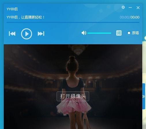 yy伴侣画中画怎么用