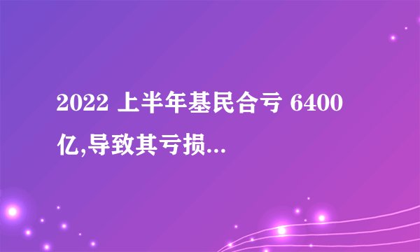 2022 上半年基民合亏 6400 亿,导致其亏损的原因有哪些? -