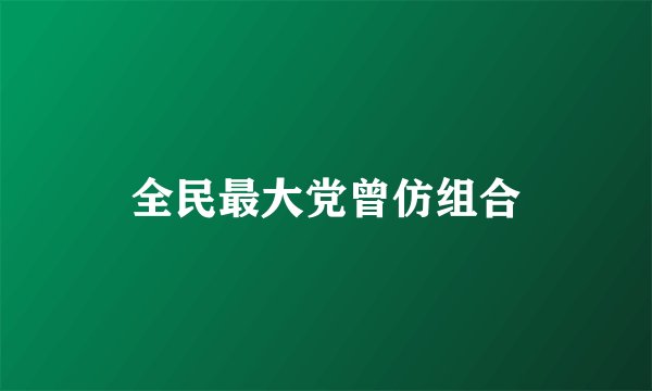 全民最大党曾仿组合