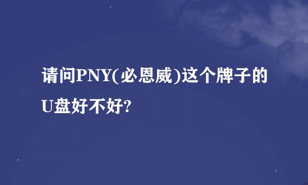 请问PNY(必恩威)这个牌子的U盘好不好?