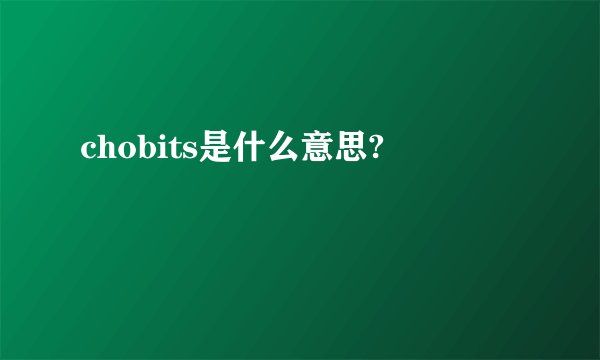 chobits是什么意思?