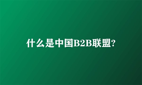什么是中国B2B联盟?