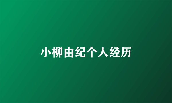 小柳由纪个人经历