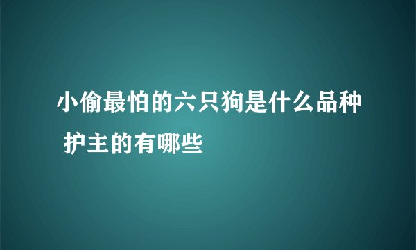 小偷最怕的六只狗是什么品种 护主的有哪些