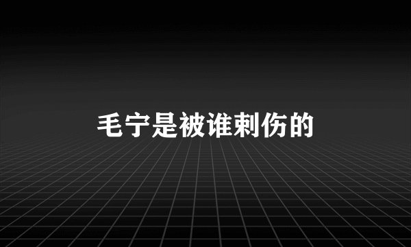 毛宁是被谁剌伤的