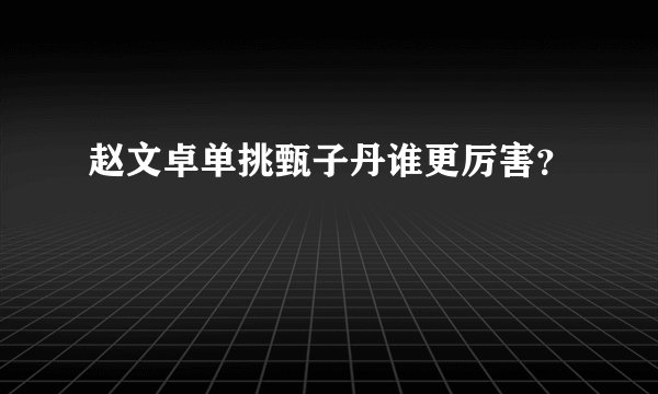 赵文卓单挑甄子丹谁更厉害？