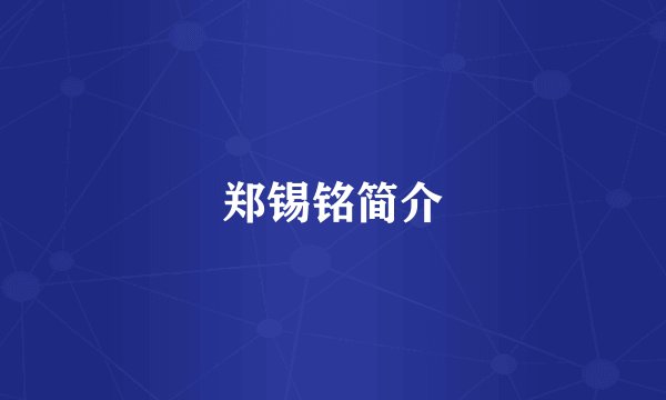 郑锡铭简介