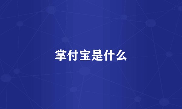 掌付宝是什么