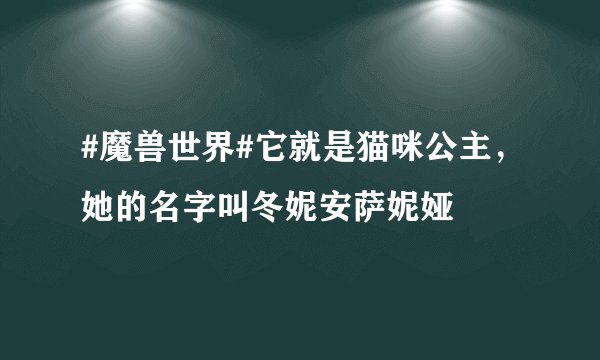 #魔兽世界#它就是猫咪公主，她的名字叫冬妮安萨妮娅