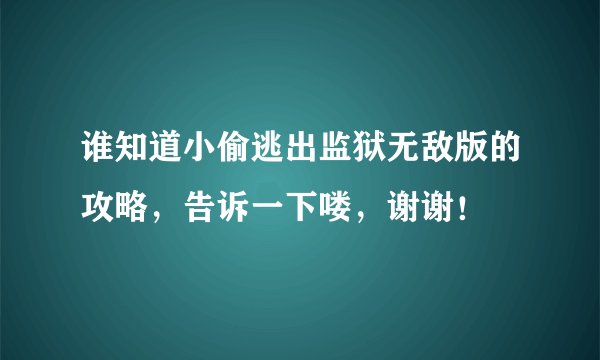 谁知道小偷逃出监狱无敌版的攻略，告诉一下喽，谢谢！