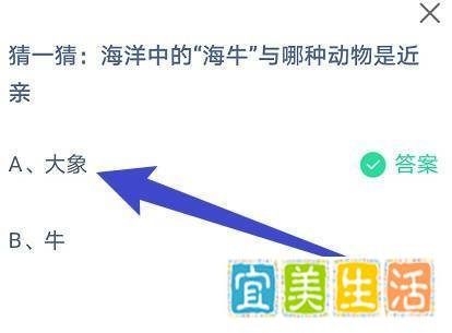 蚂蚁庄园：海洋中的“海牛”与哪种动物是近亲