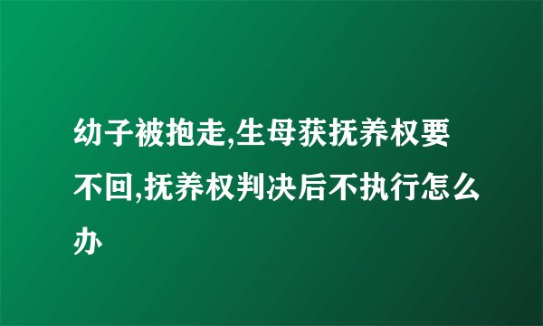 幼子被抱走,生母获抚养权要不回,抚养权判决后不执行怎么办