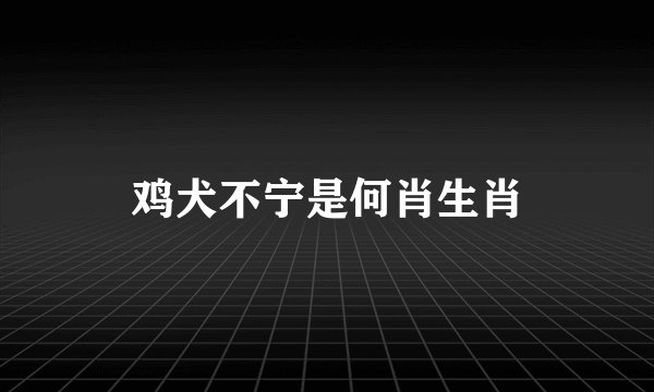 鸡犬不宁是何肖生肖