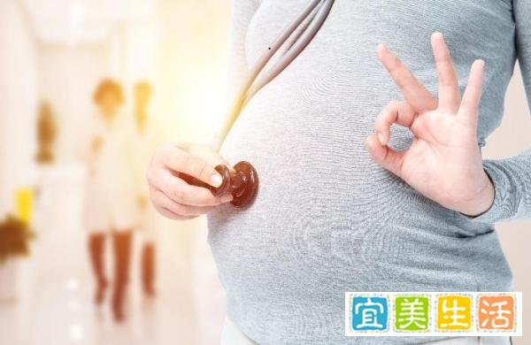 陈松伶张铎撕了结婚证承诺永不离婚！想法很浪漫但行为别效仿哦