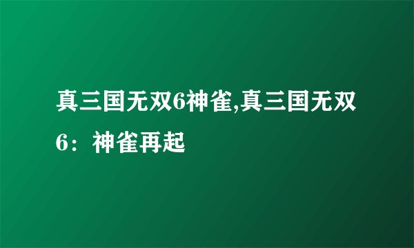 真三国无双6神雀,真三国无双6：神雀再起