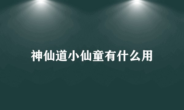 神仙道小仙童有什么用