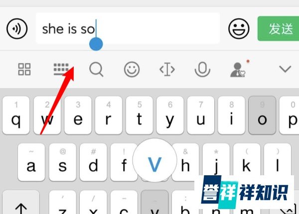 微信she is so怎么翻译？