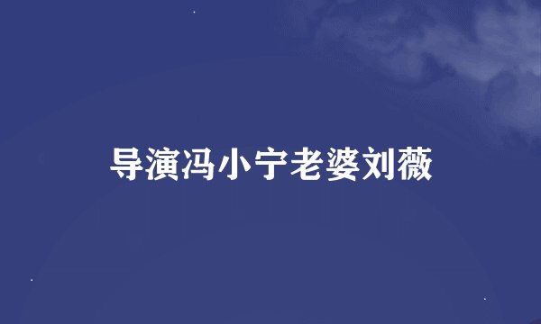 导演冯小宁老婆刘薇