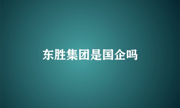 东胜集团是国企吗