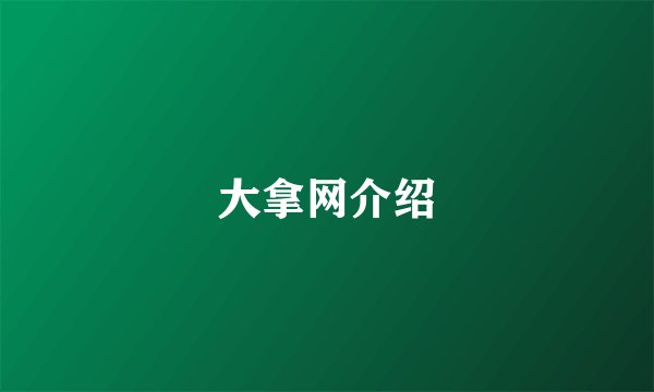 大拿网介绍