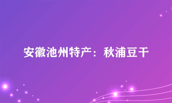 安徽池州特产：秋浦豆干