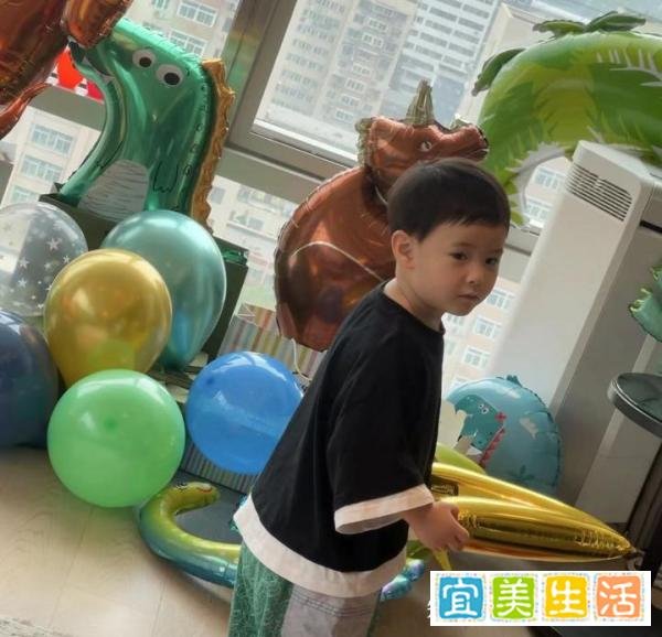 沈腾3岁儿子正面照曝光,豪宅整排落地窗显奢华,妻子备孕生虎妞