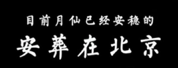 于月仙丈夫称：妻子已安葬在北京，我会完成妻子意愿！
