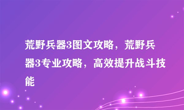 荒野兵器3图文攻略，荒野兵器3专业攻略，高效提升战斗技能