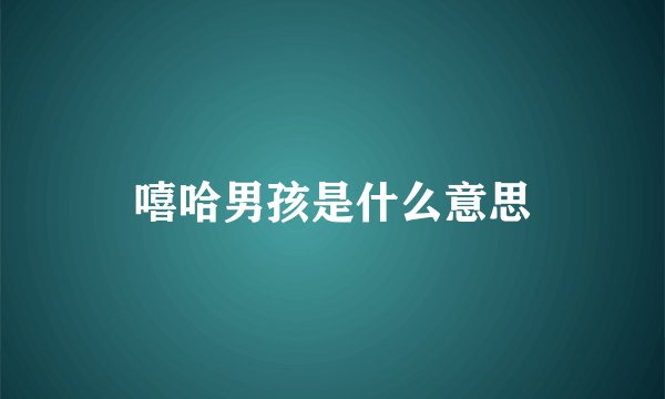 嘻哈男孩是什么意思