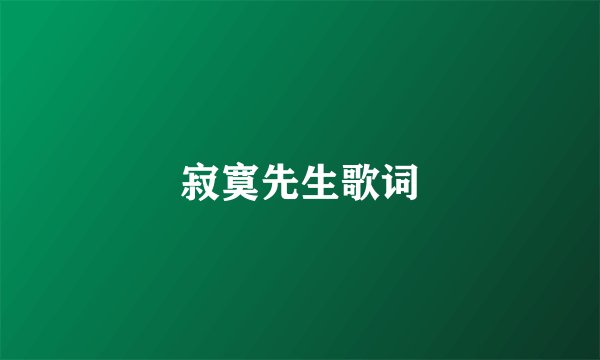 寂寞先生歌词