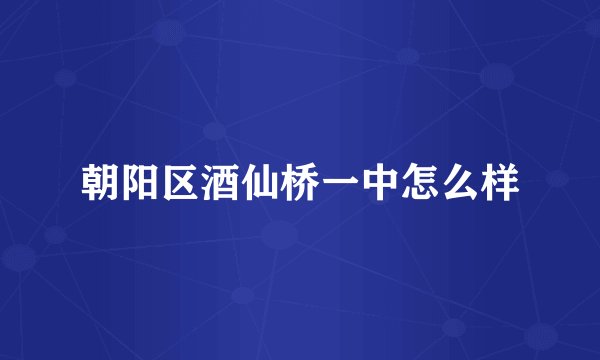 朝阳区酒仙桥一中怎么样