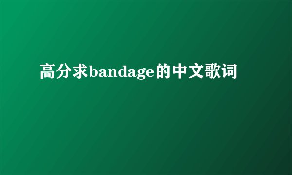 高分求bandage的中文歌词