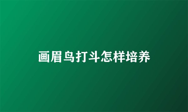 画眉鸟打斗怎样培养