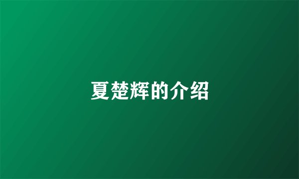 夏楚辉的介绍
