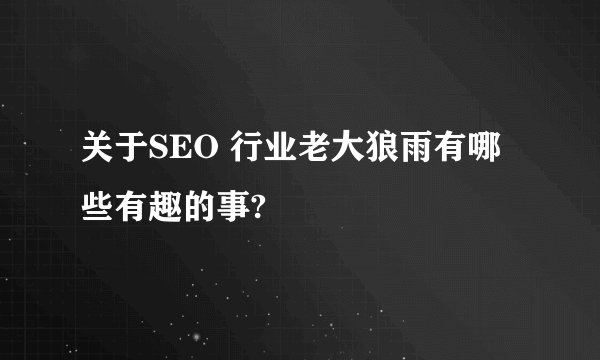 关于SEO 行业老大狼雨有哪些有趣的事?
