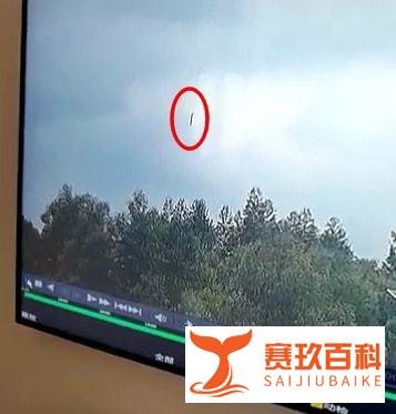 东航客机为何会垂直坠落？请兼听疑问