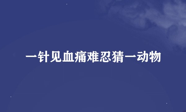 一针见血痛难忍猜一动物